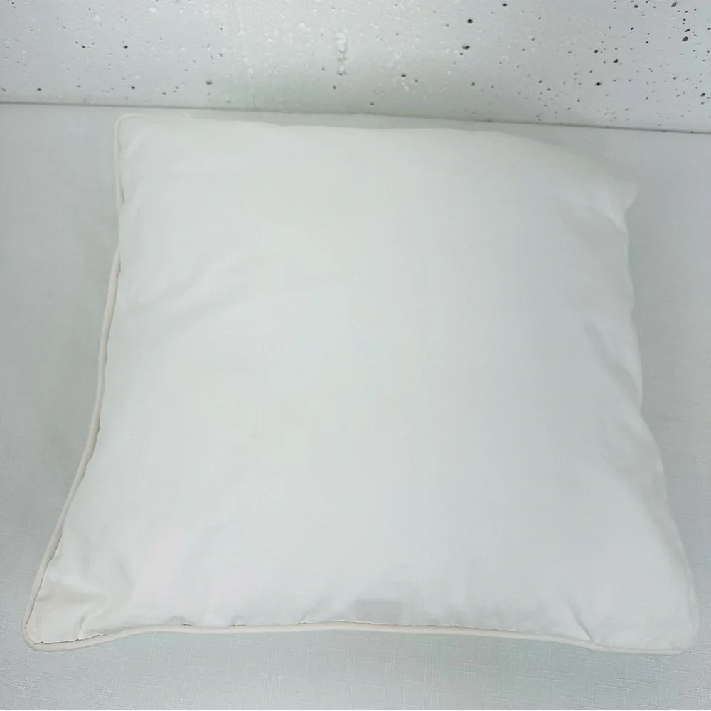 Pottery Barn Teen White Aqua Navy Blue Embroidered Throw Pillow 16x16”